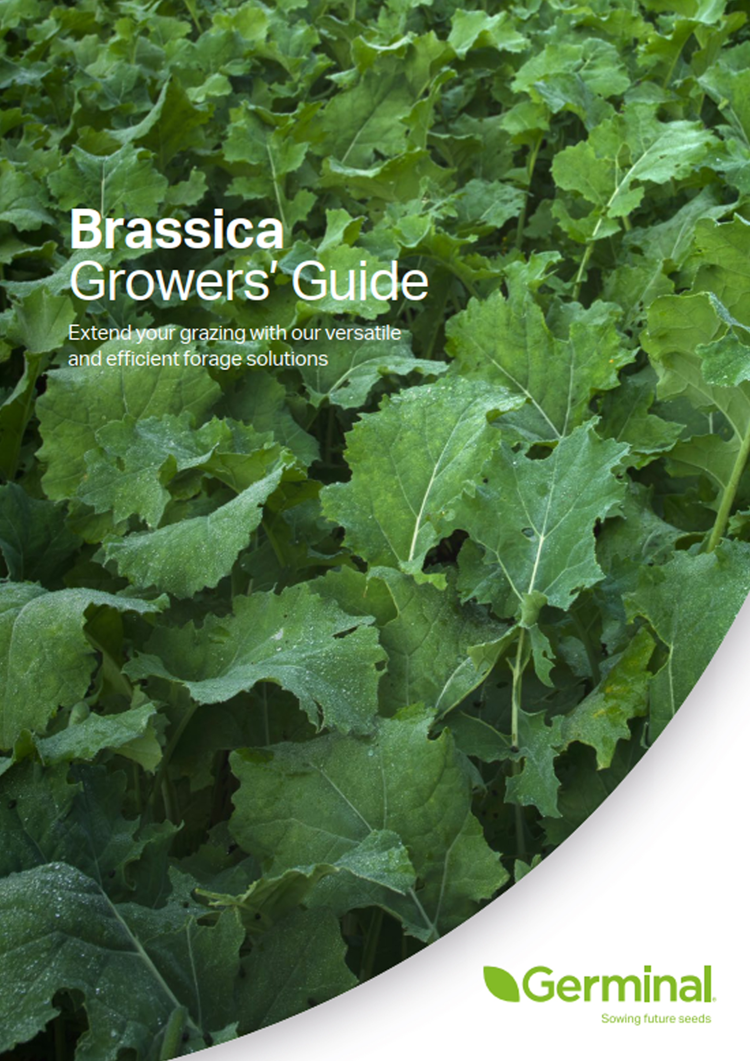 brassica_growersguide