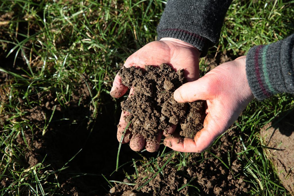 reseeding grassland soil test